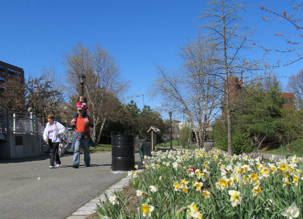 Image for east boston greenway