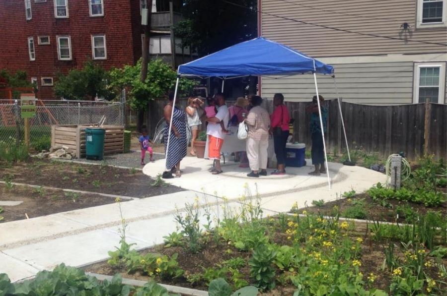 Image for woolson before