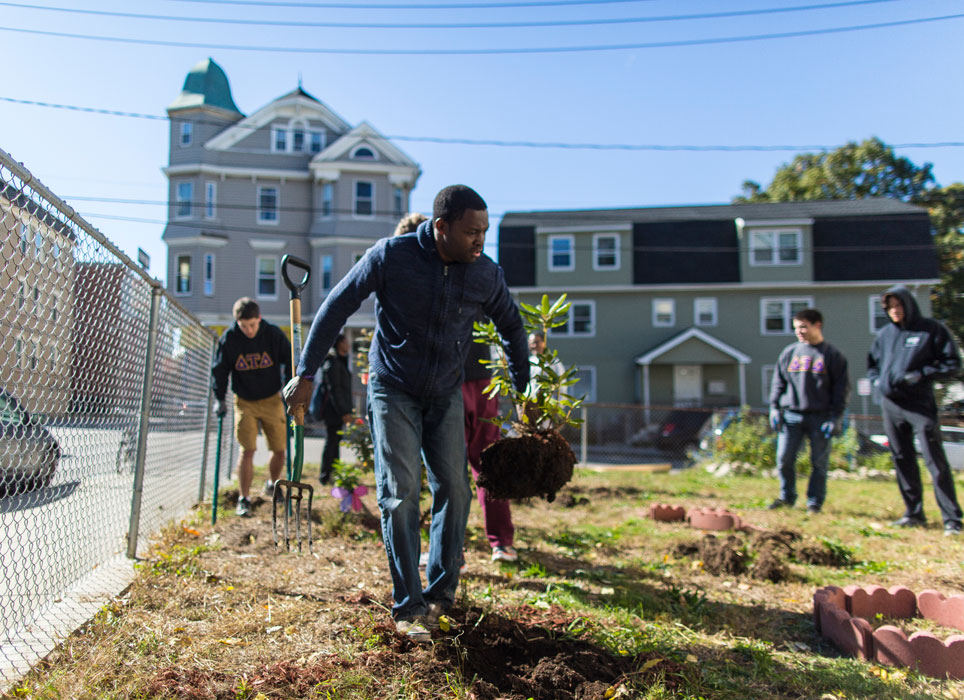 Image for garden raising in 2015