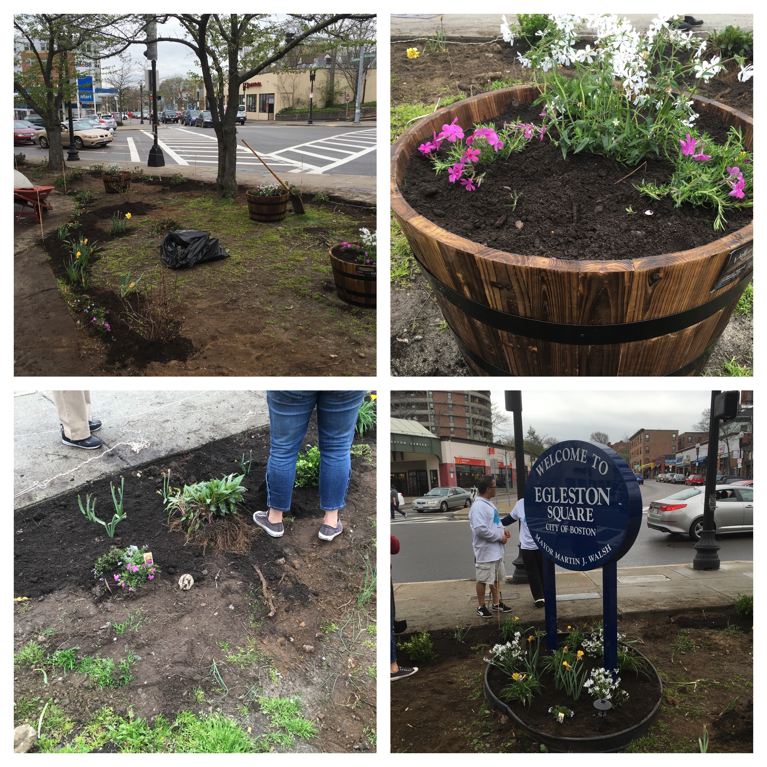 Image for egleston square after