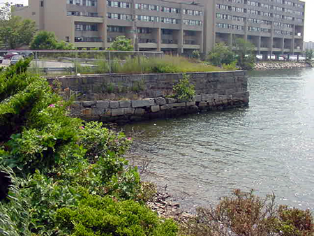 Conor Street Overlook