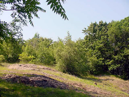 Geneva Avenue Cliffs