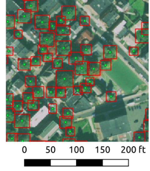 Canopy map