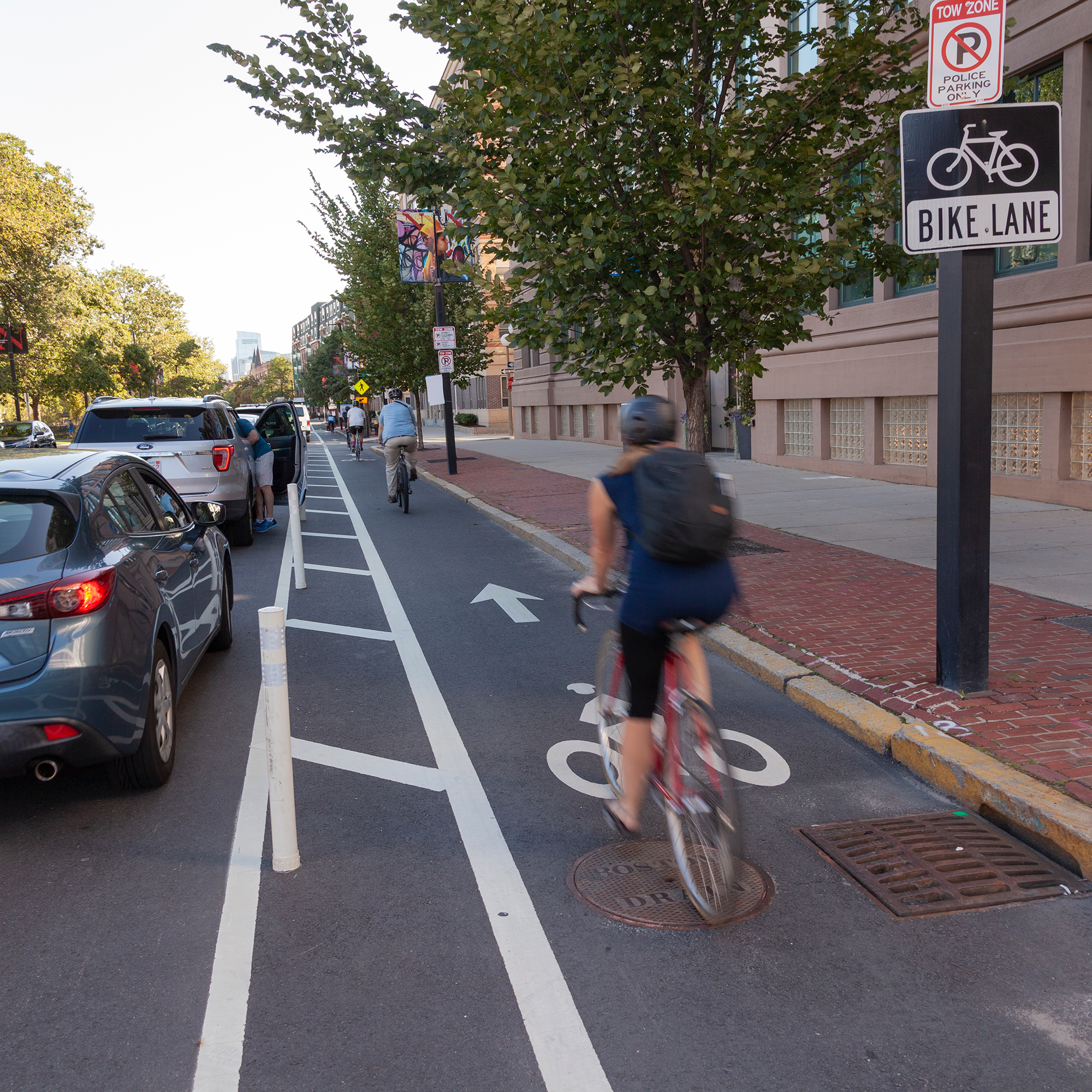 Separated Bike Lane on Columbus Ave, Roxbury