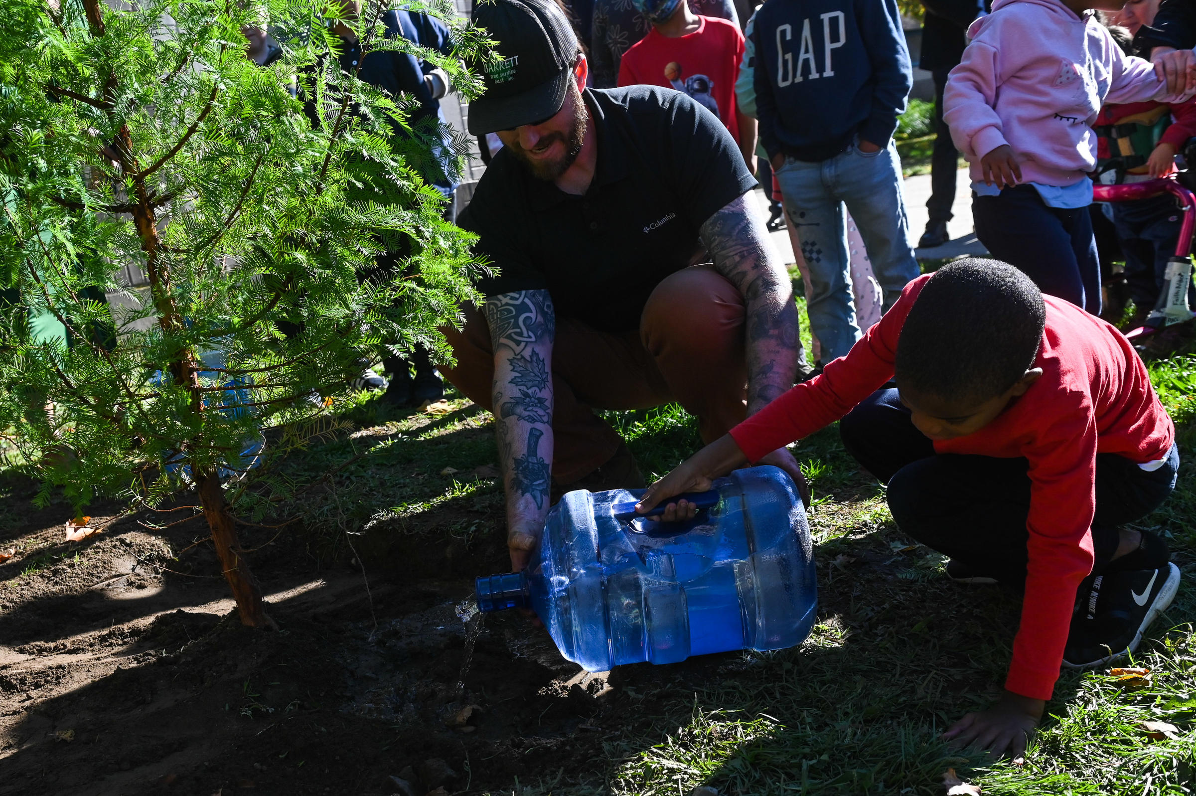 Two people water a newly planted tree.