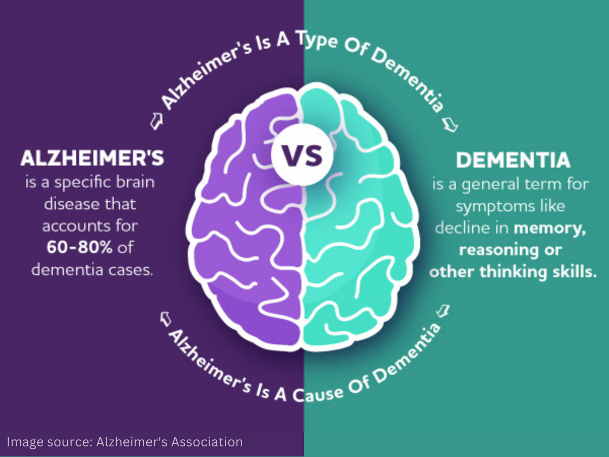 Graphic with a background of purple and green, split in half vertically. There is an illustration of a brain in the center of the graphic. The graphic depicts a cycle between Alzheimer’s and Dementia. The text reads, “Alzheimer’s is a type of dementia. Dementia is a general term for symptoms like decline in memory, reasoning or other thinking skills. Alzheimer’s is a cause of dementia. Alzheimer’s is a specific brain disease that accounts for 60-80% of dementia cases.” 