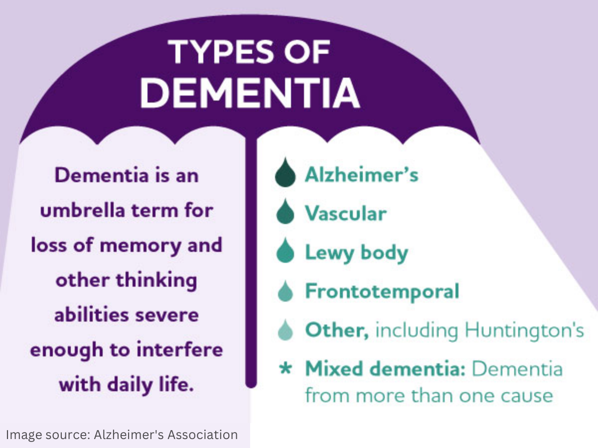 Graphic with a light purple background. There is a dark purple umbrella with white text that reads, “Types of Dementia”. There is purple and green text under the umbrella that reads, “Dementia is an umbrella term for loss of memory and other thinking abilities sever enough to interfere with daily life.” There are a series of rain drops that serve as bullet points to the text, “Alzheimer’s; Vascular; Lewy body; Frontotemporal; Other, including Huntington’s; Mixed dementia: Dementia from more than one cause. 