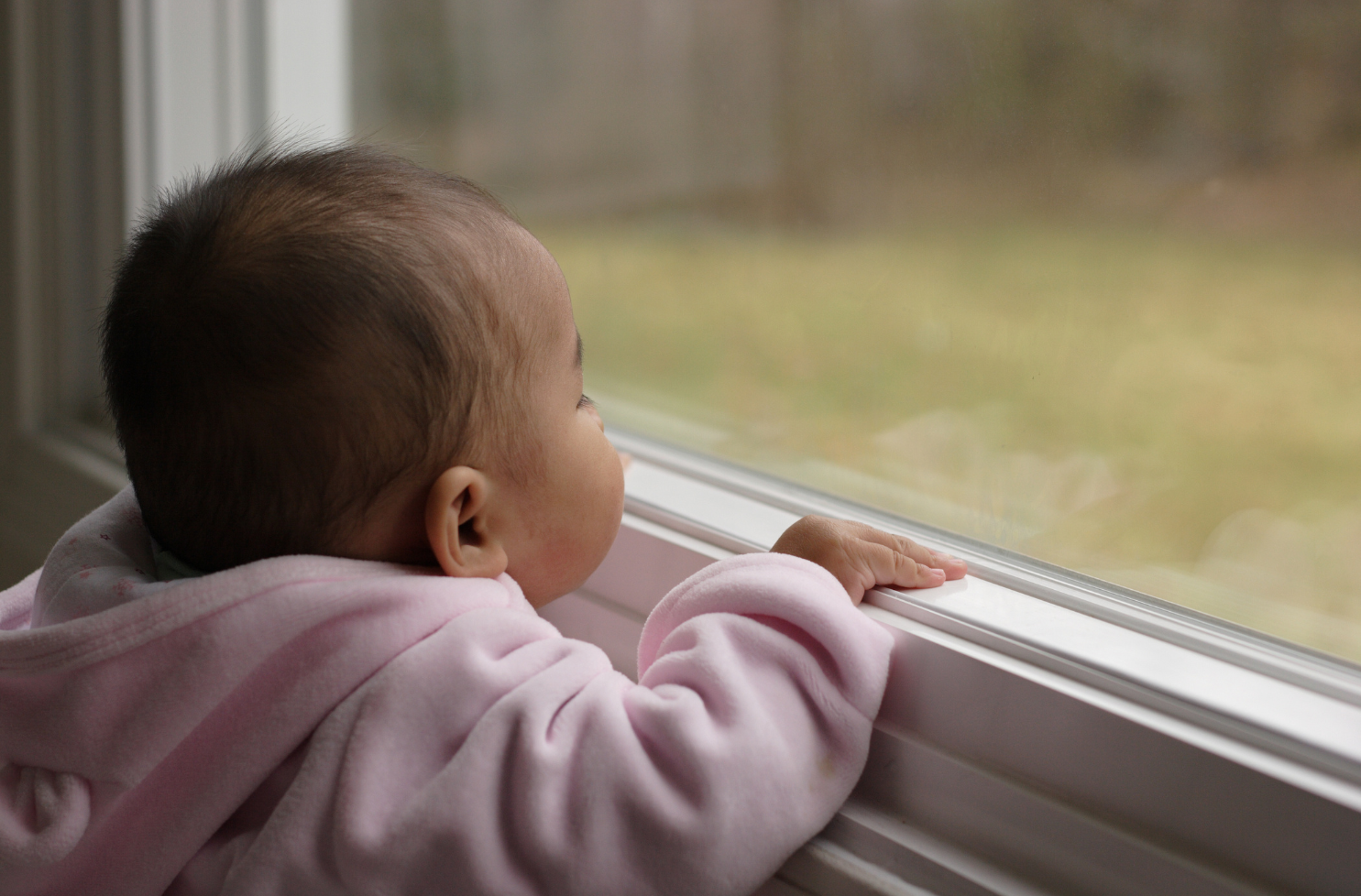 Baby looking out window