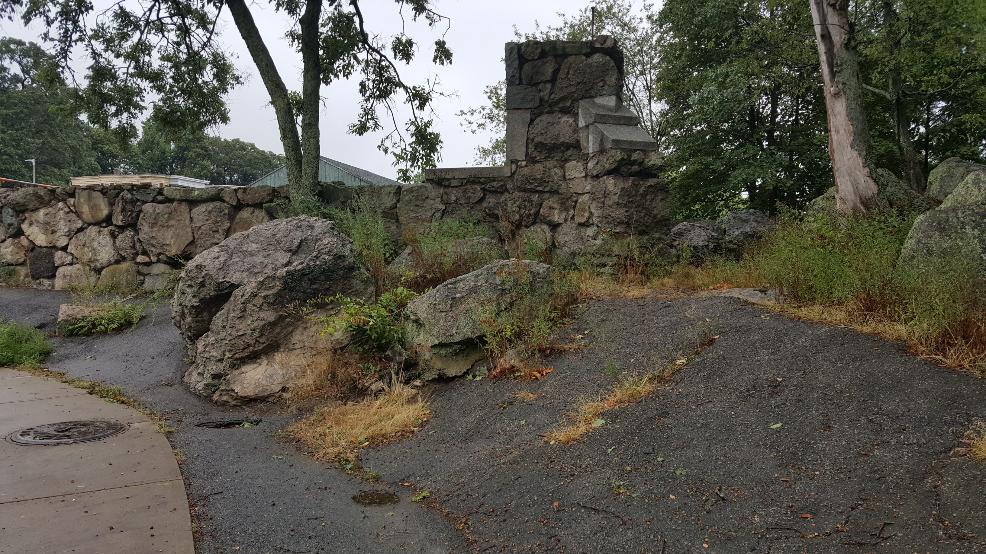 Image for mildred before