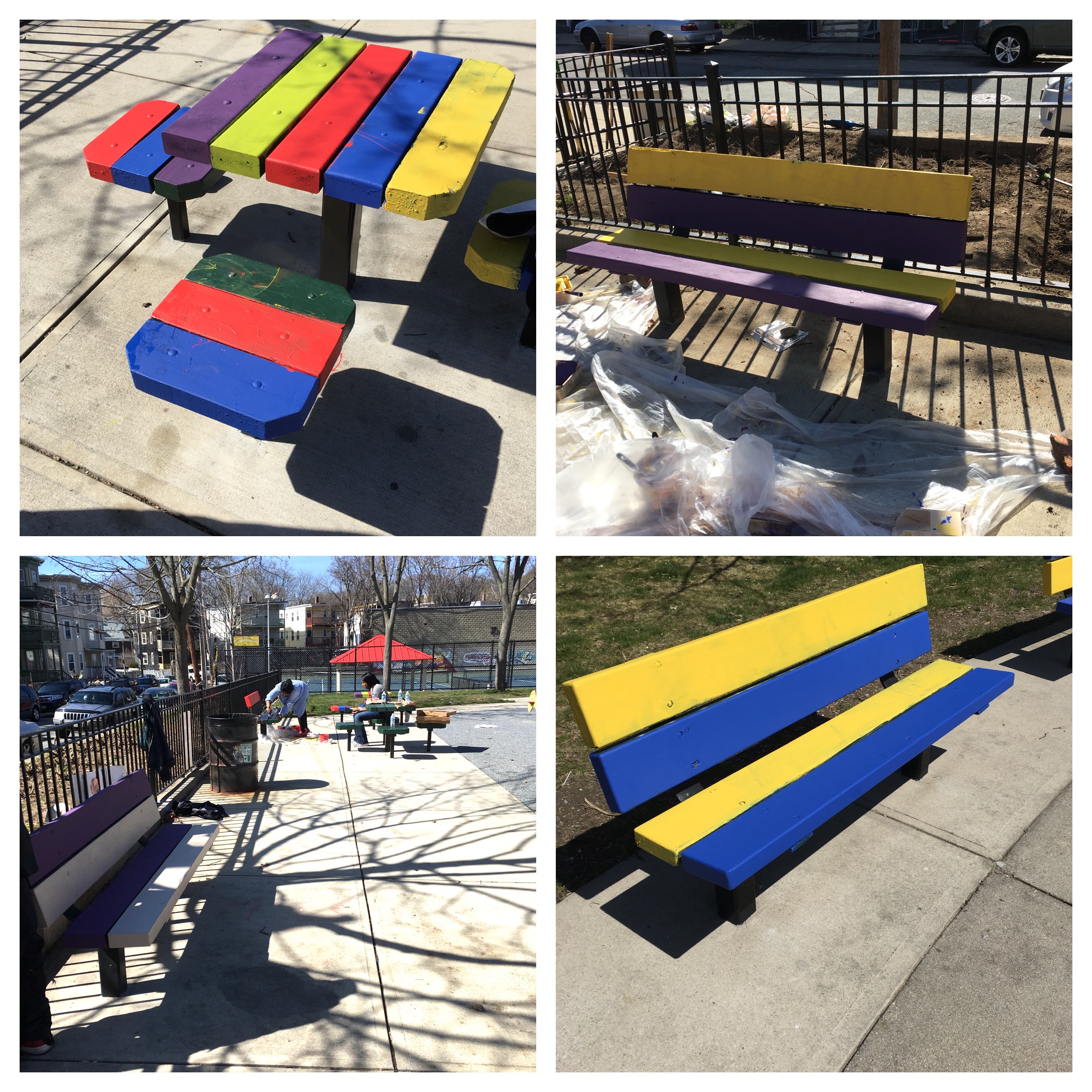 Image for ripley after