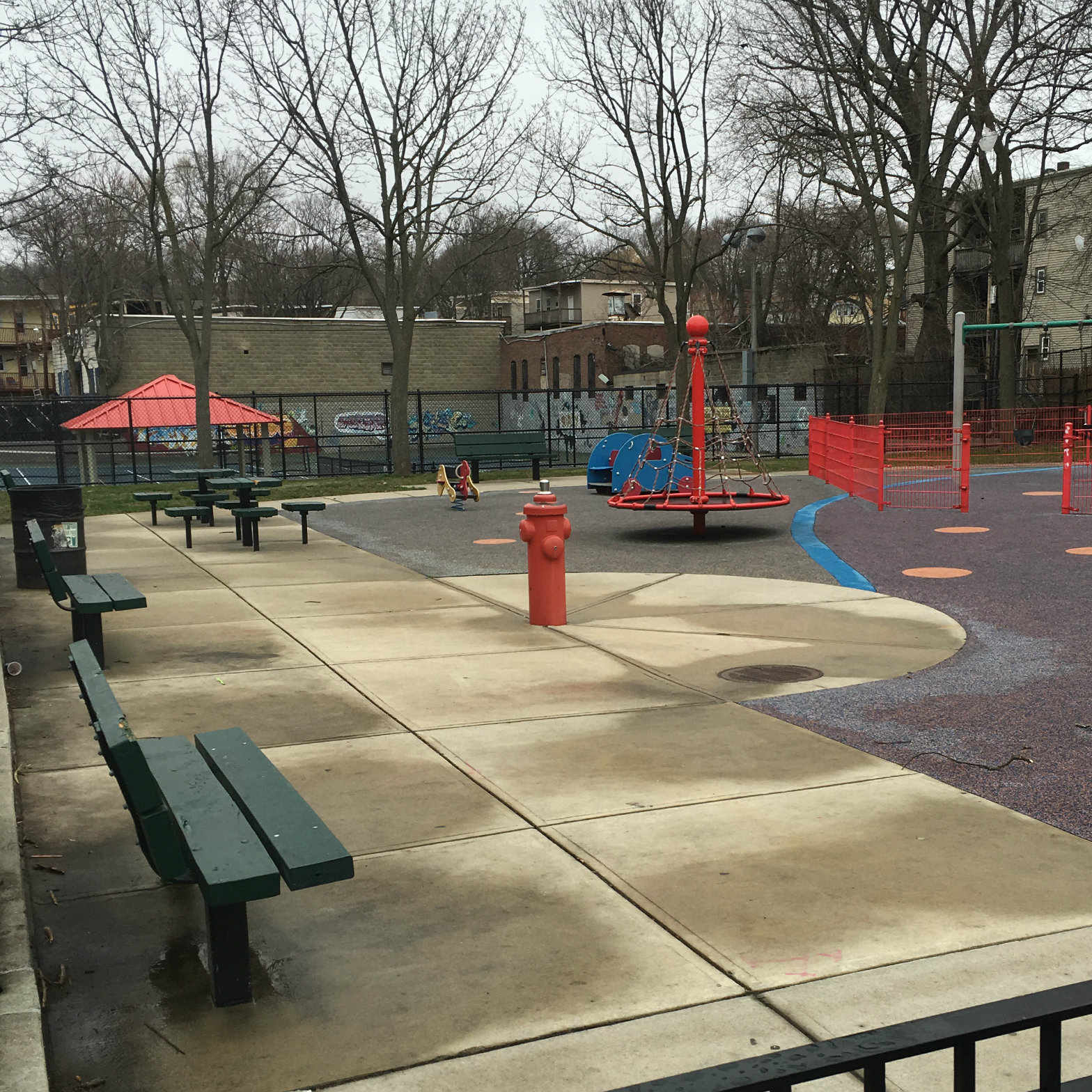 Image for ripley before