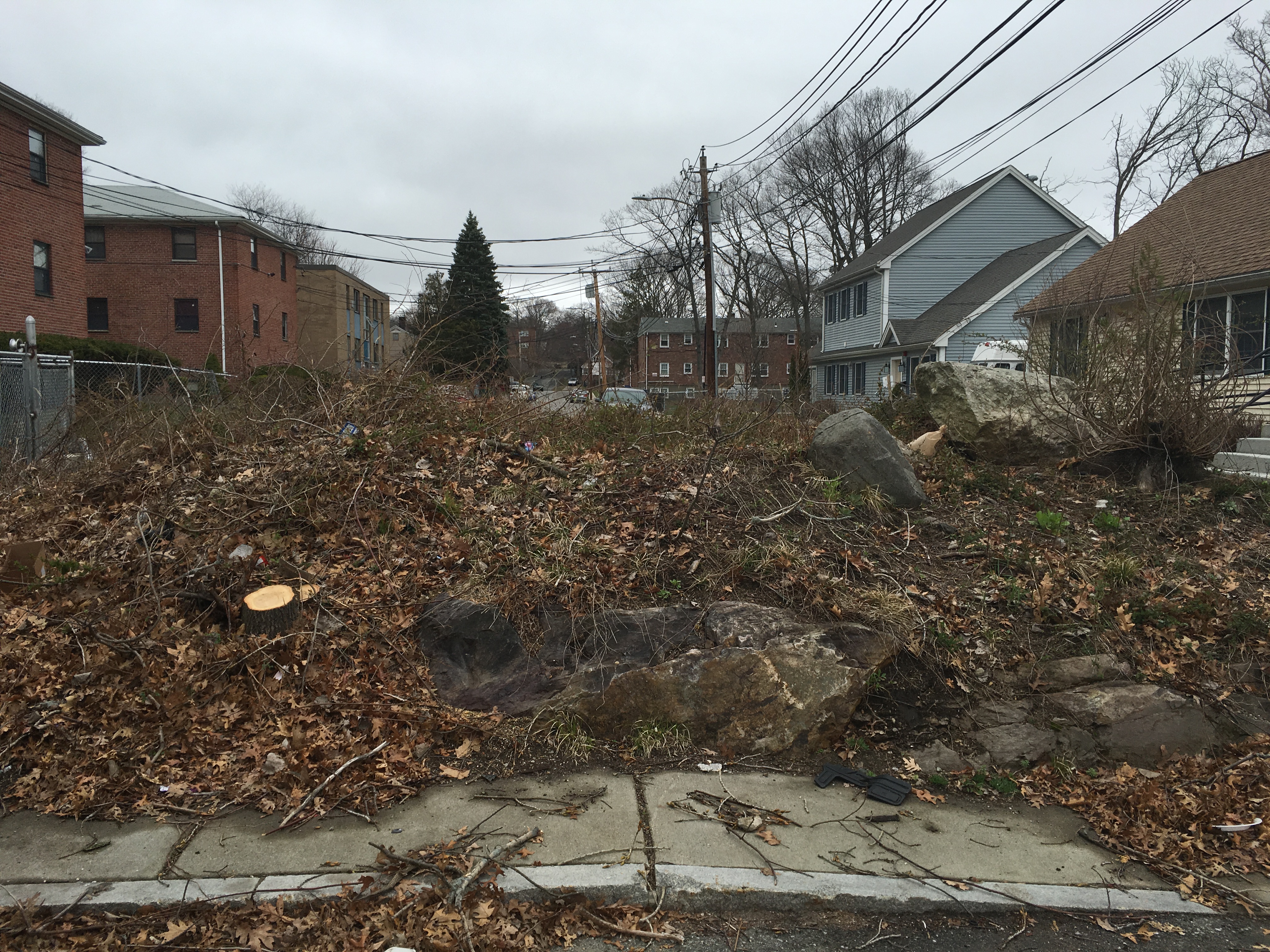 Image for rock garden before