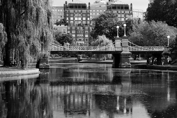 PIP Filter BW PG