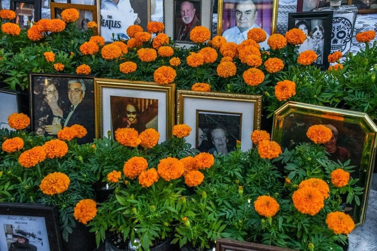 Dia De Muertos
