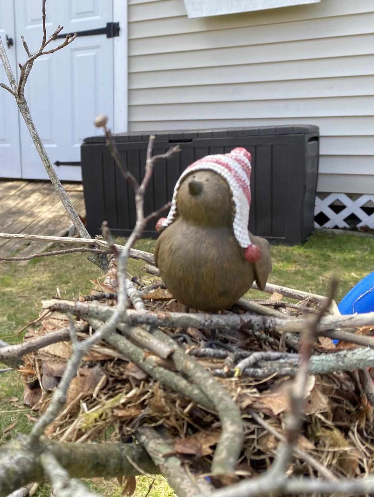 Bird in a nest - homemade. 