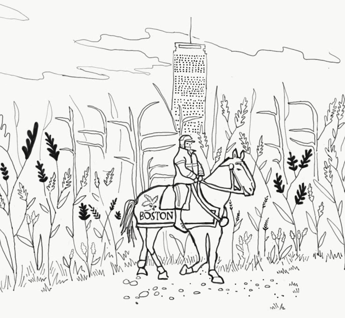 Boston Common Horse 
