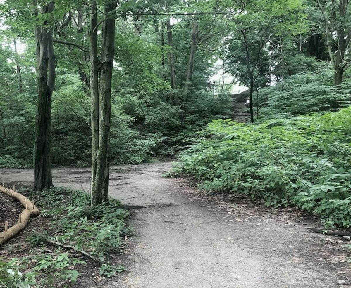 Olmsted Park 1