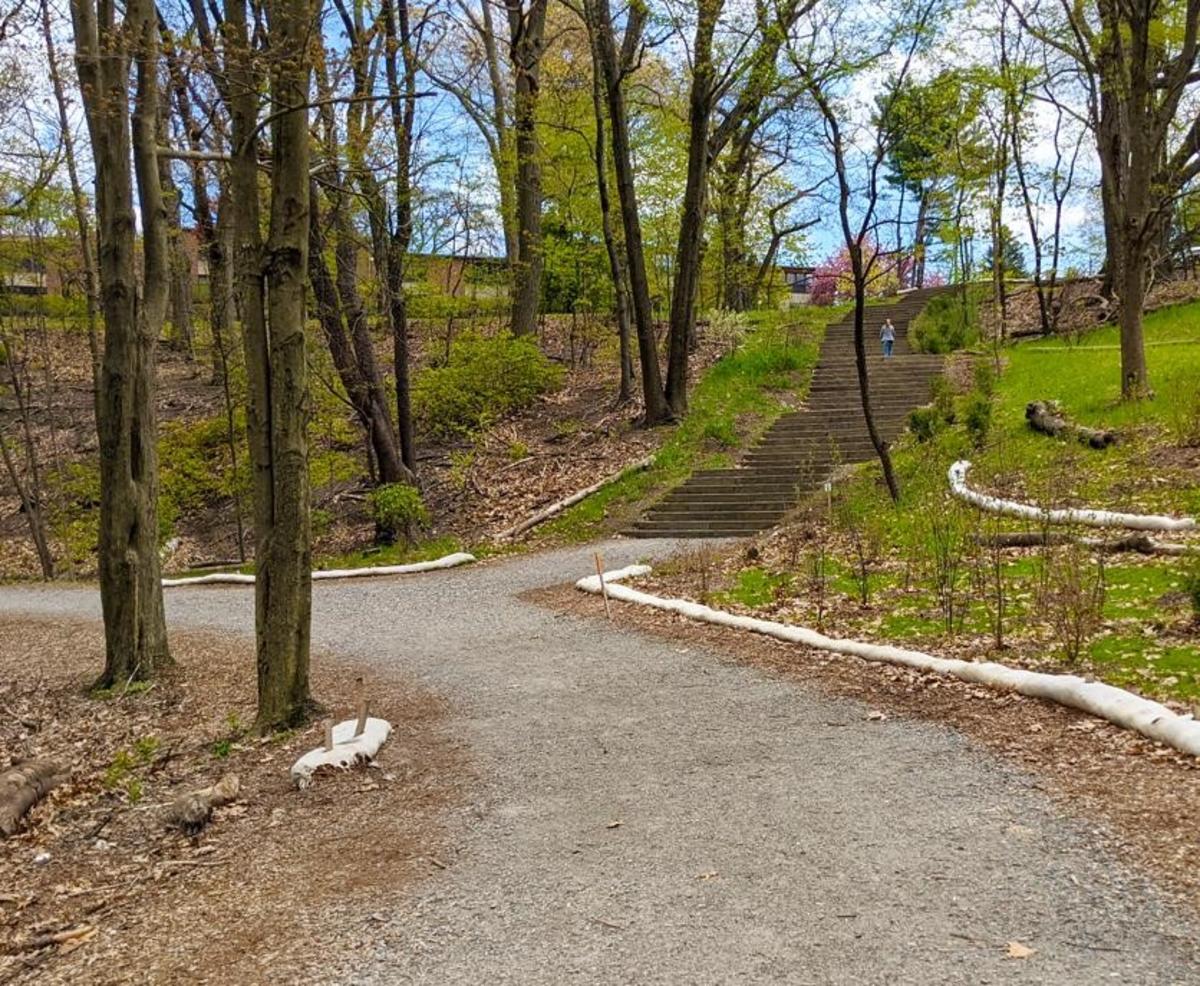 Olmsted Park 2