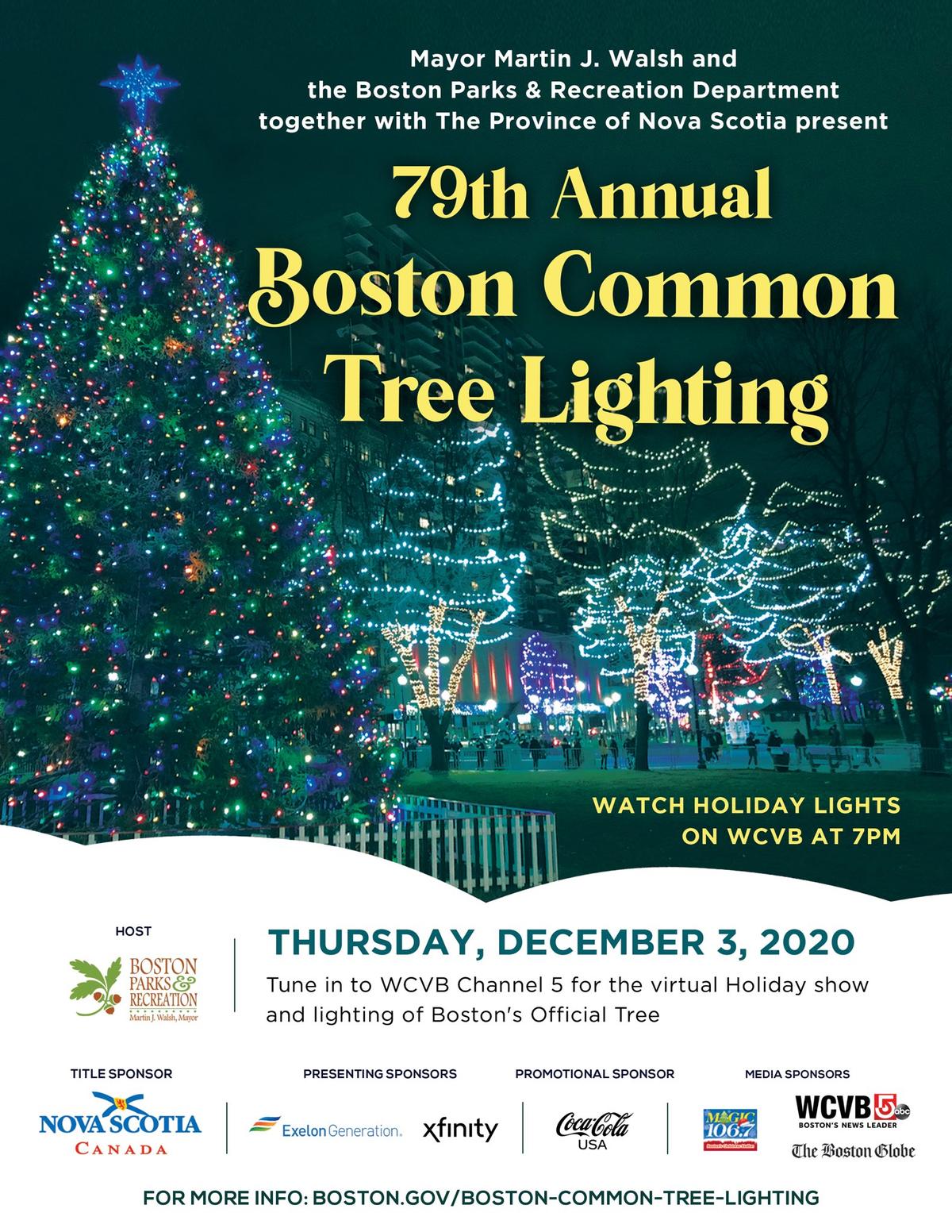 Christmas tree lighting