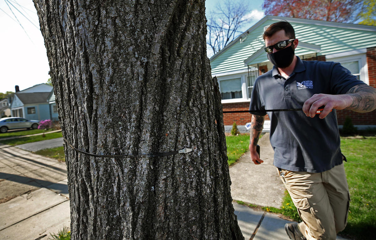 Arbor Day