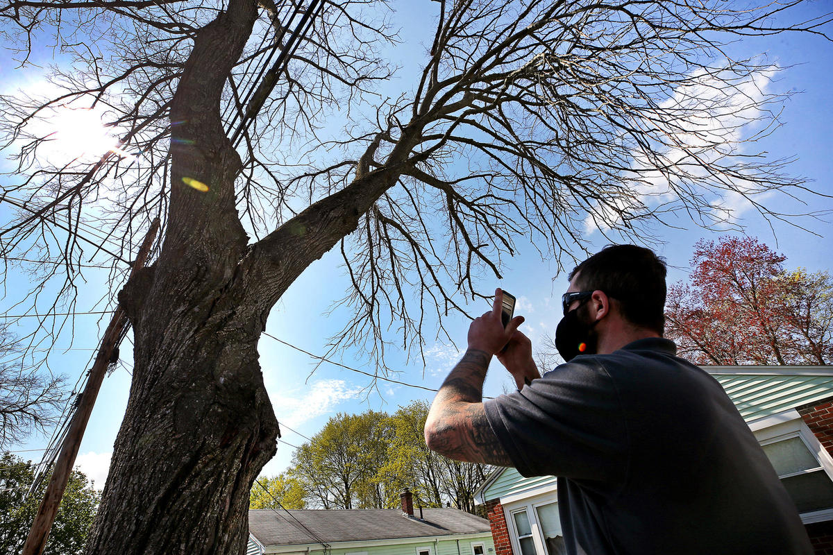 Arbor Day