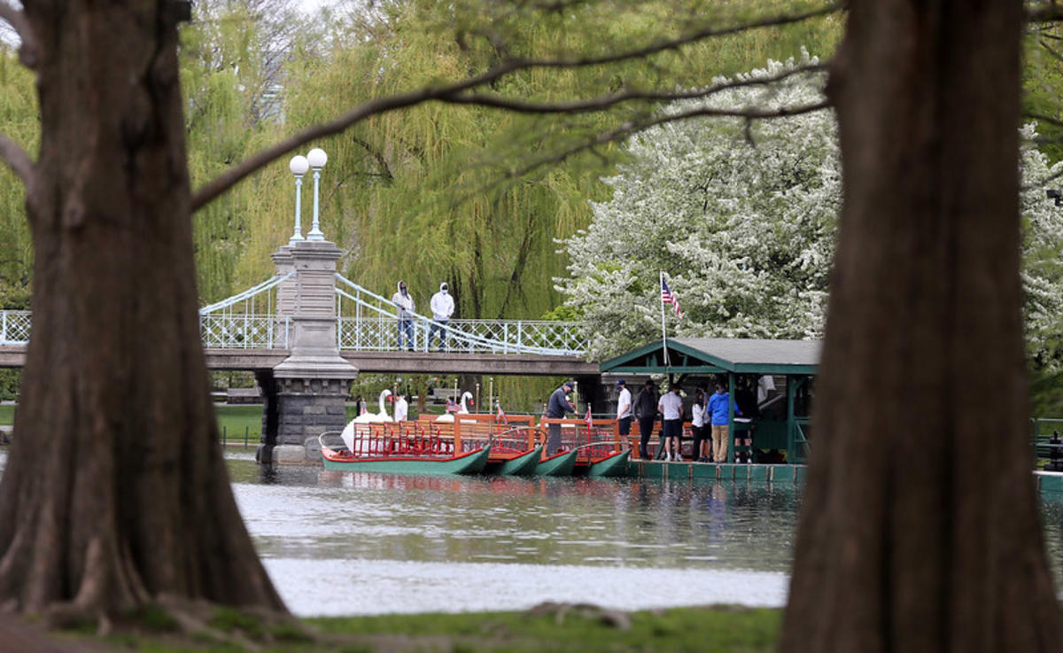 Swan Boats