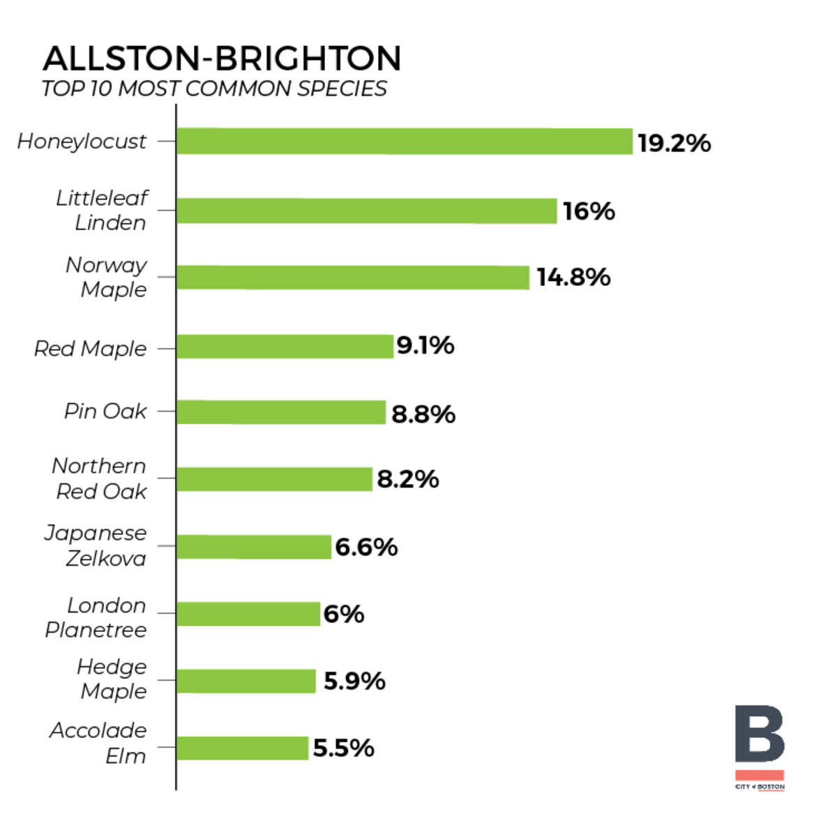 Tree Inventory - Allston (Bar Graph) 