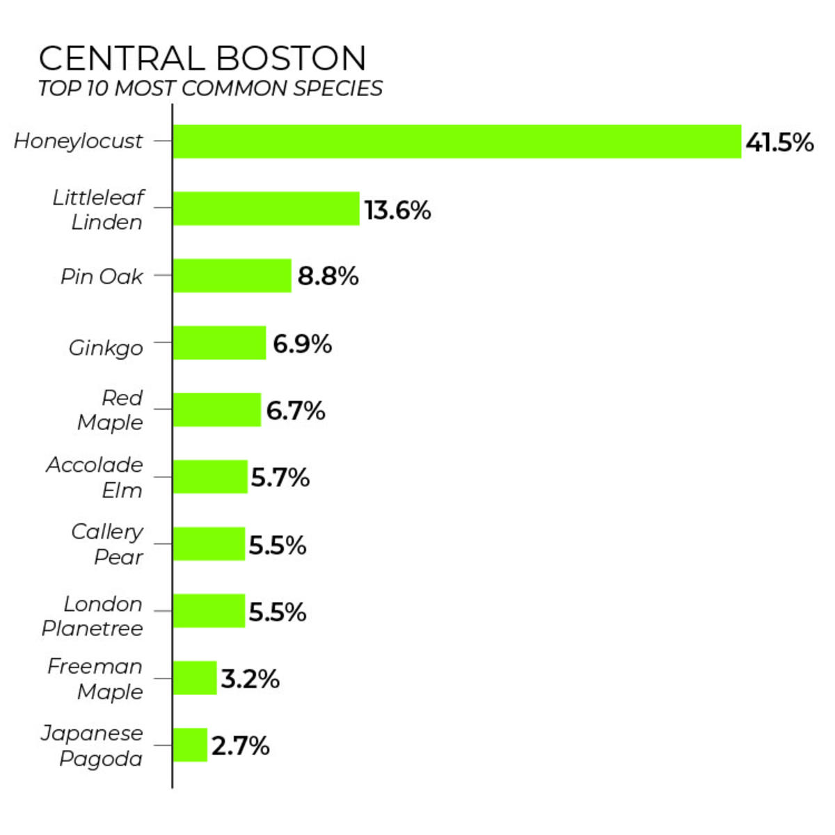Central Boston tree inventory