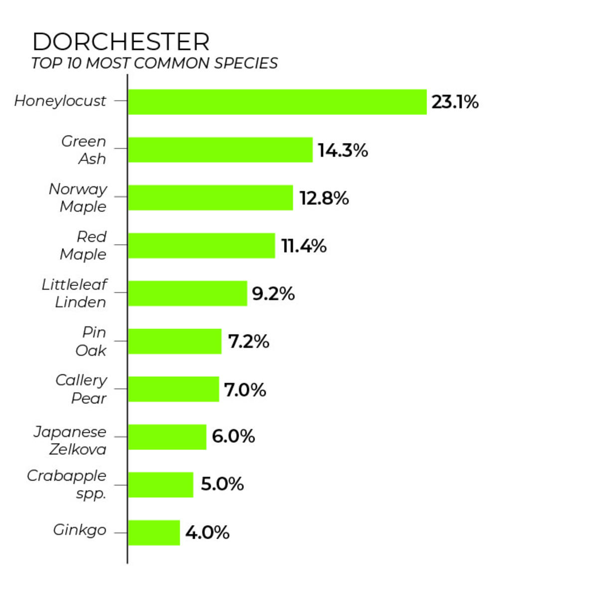 Dorchester tree inventory