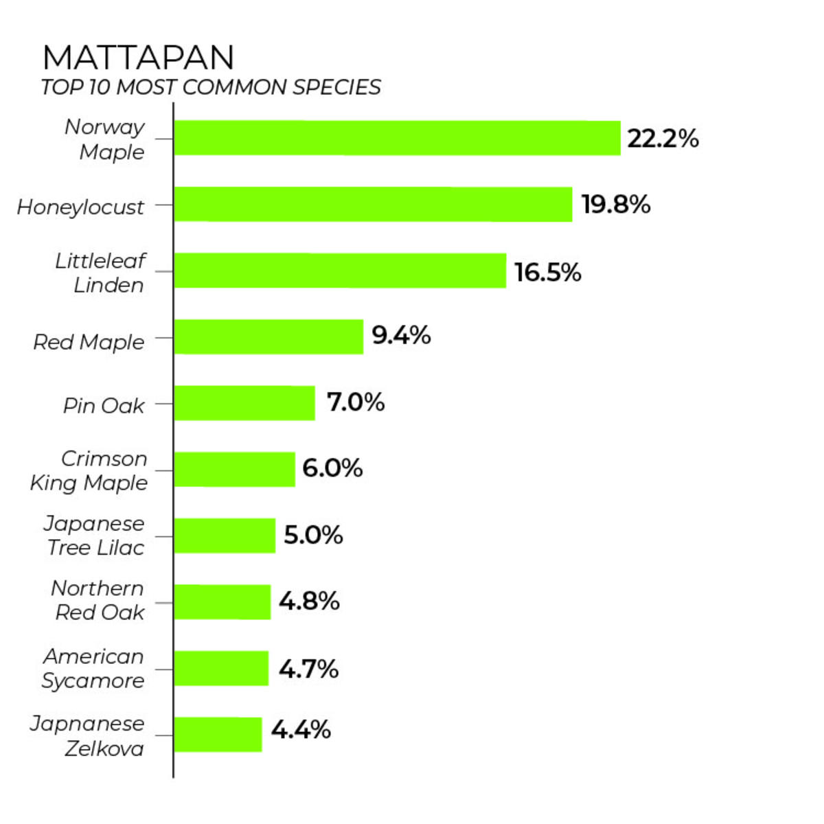 Mattapan tree inventory