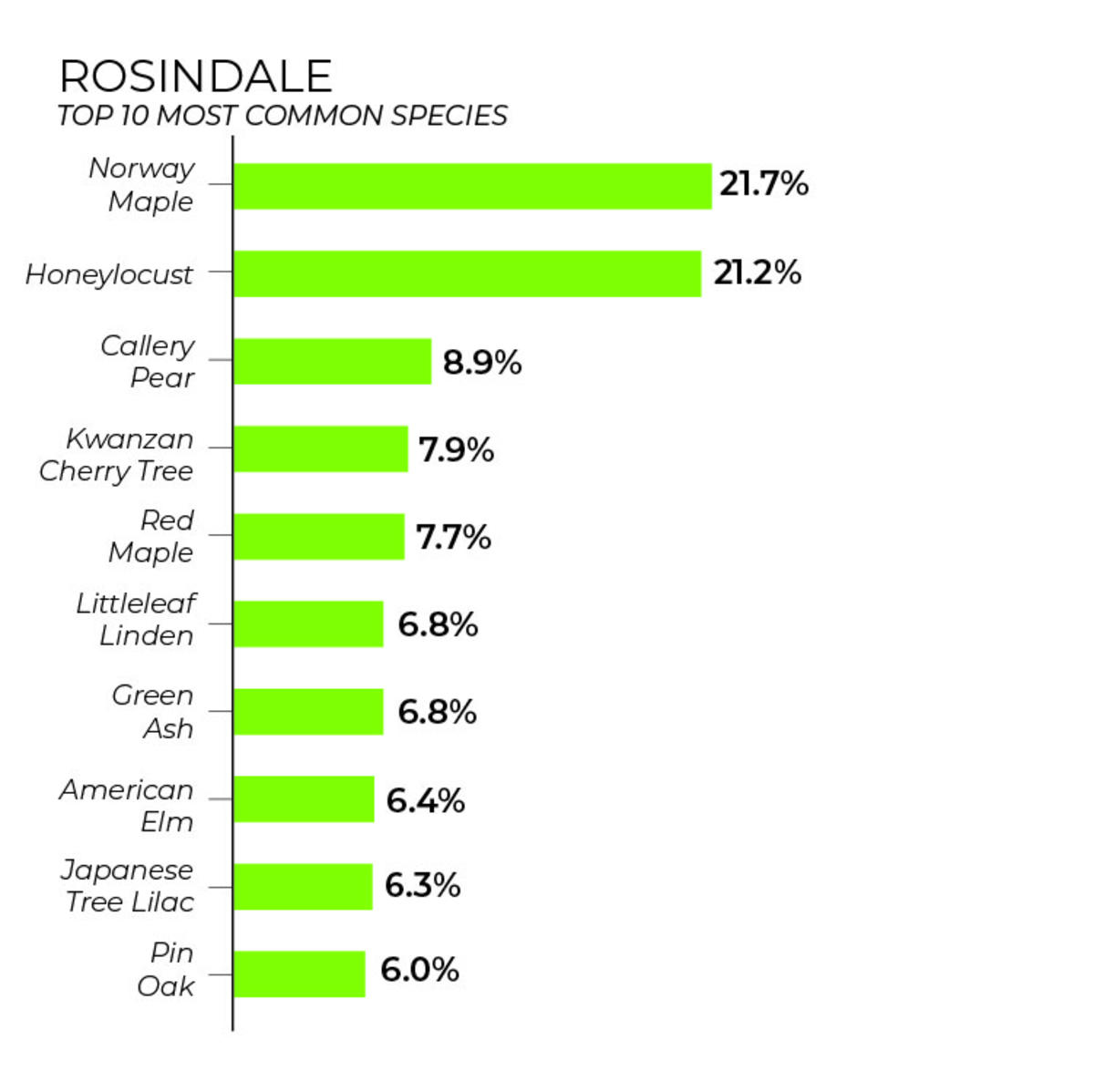 Roslindale tree inventory