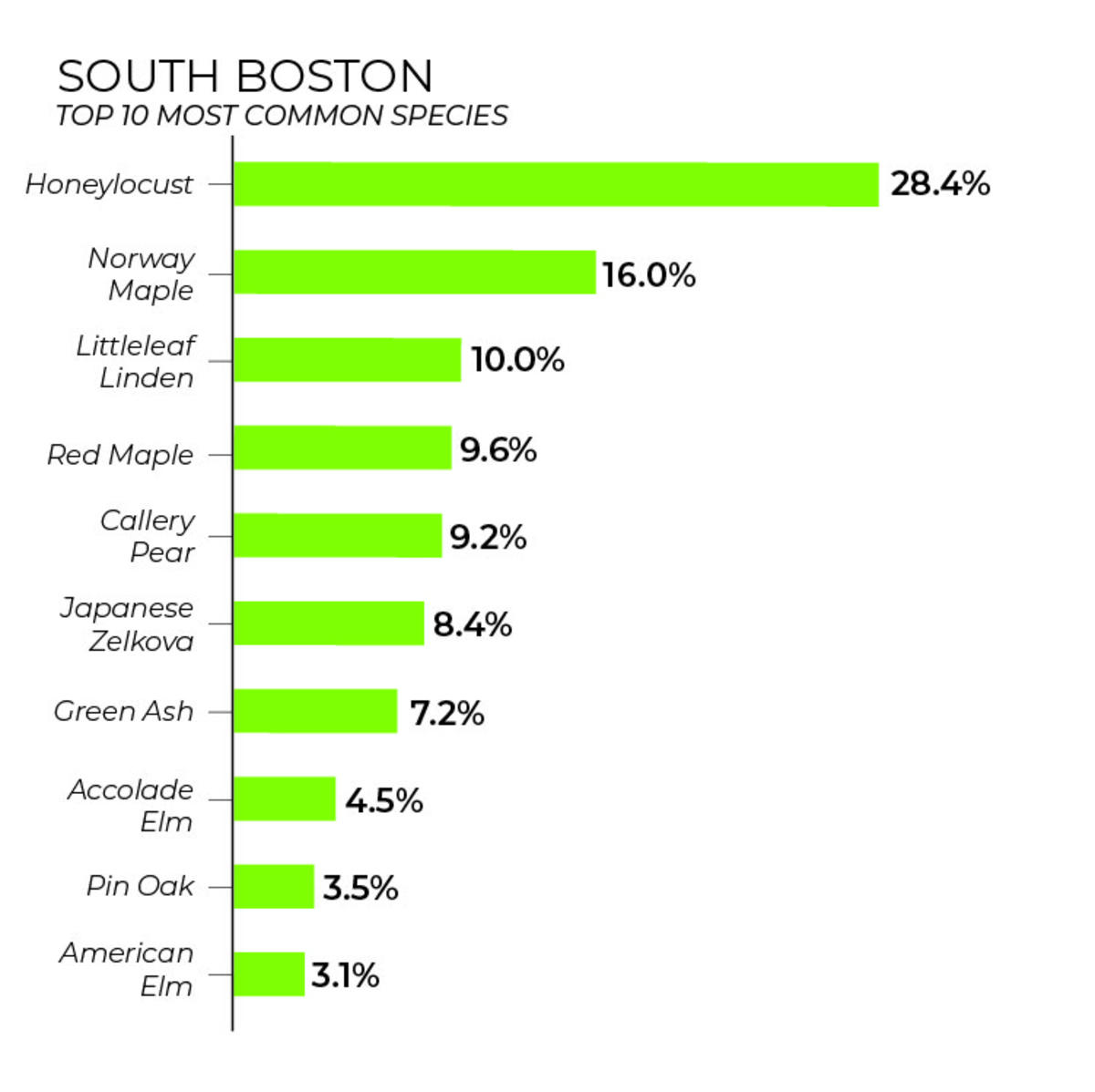 South Boston tree inventory