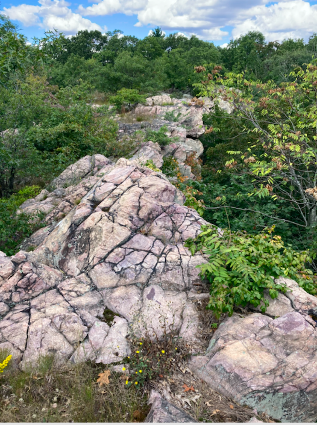 Mattapan quarry