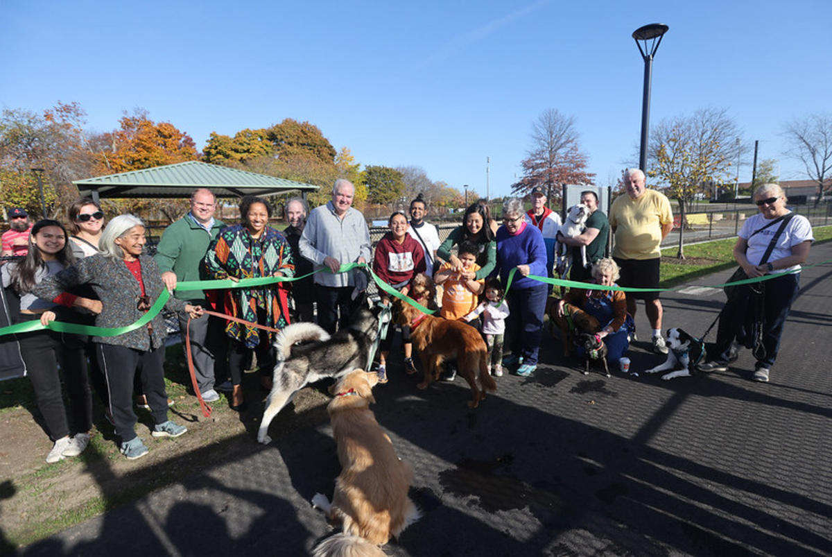 The new dog park in Allston-Brighton