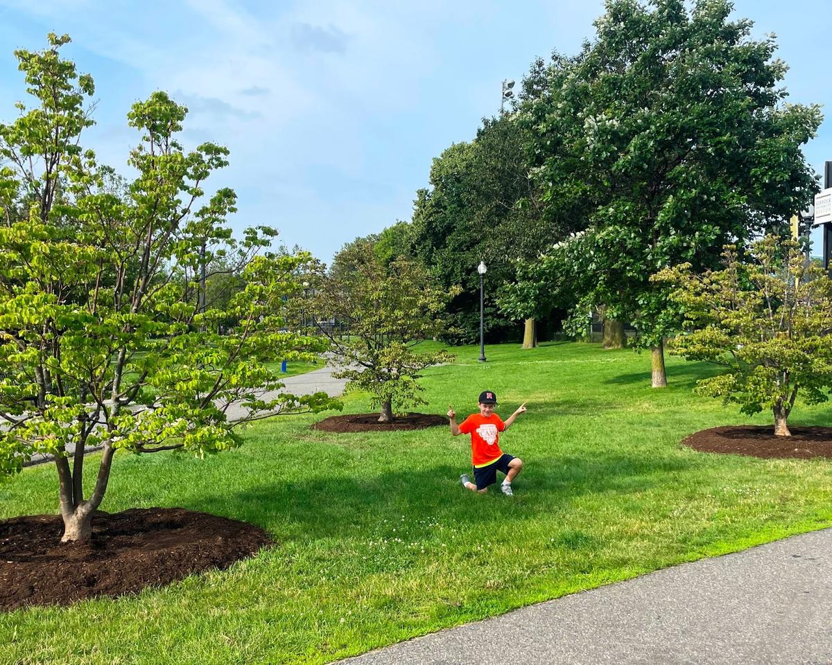Eight-year-old Myles Masterson, Tree Eastie volunteer and grandson of founder Bill Masterson, points out the three dogwood trees donated by a Back Bay homeowner and relocated at East Boston Memorial Park.
