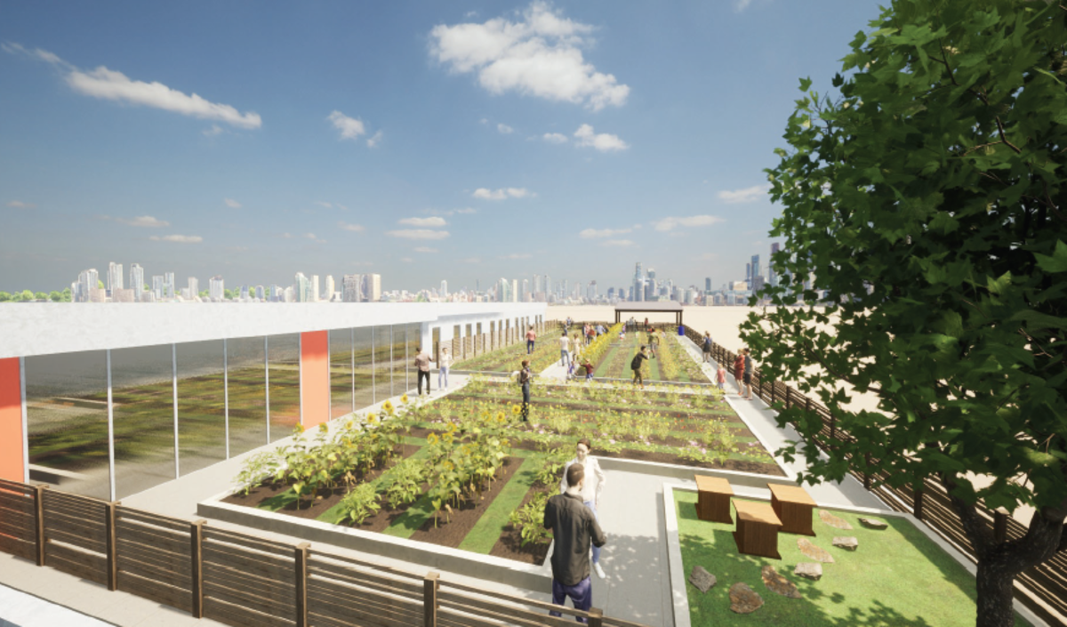 growboston at bmc