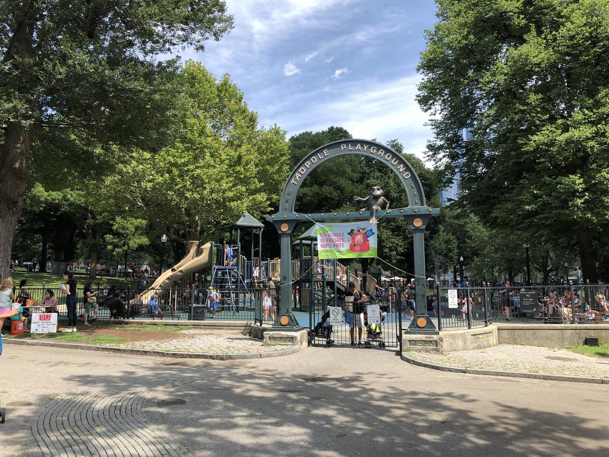 Tadpole Playground