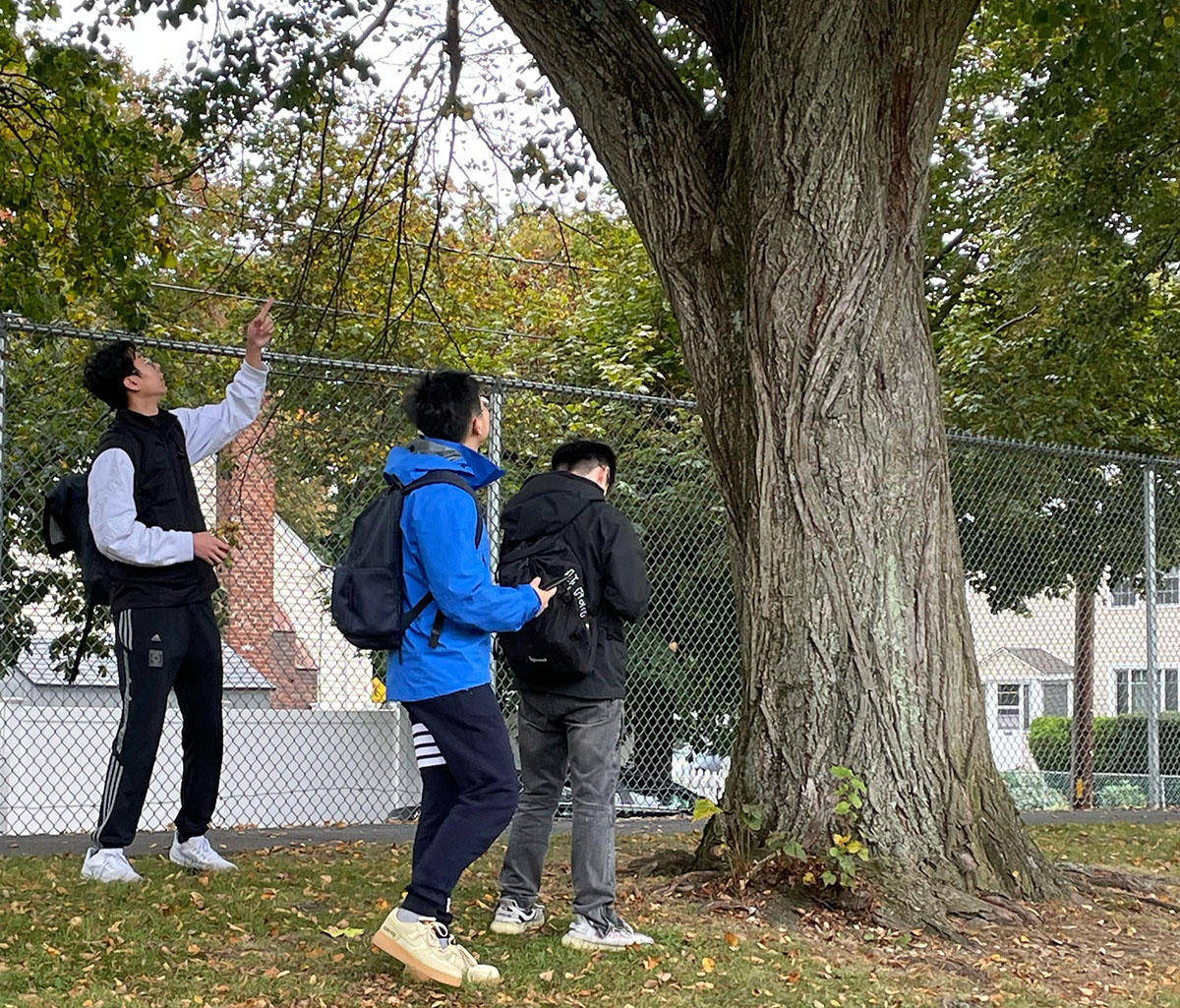 BU Students at Ross Playground