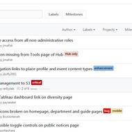 Image for diving into the digital team backlog