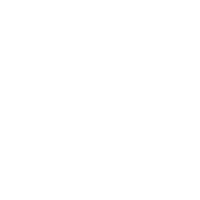 Image for offical boston digital seal white
