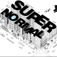 Image for supernormal