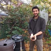 Image for compost